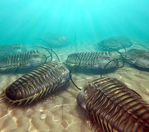 寒武纪大爆发,显生宙古生代寒武纪开始